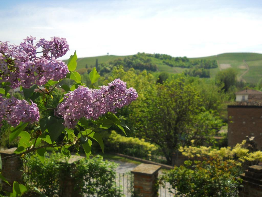 Tenuta Calabiana Diano d'Alba Room photo