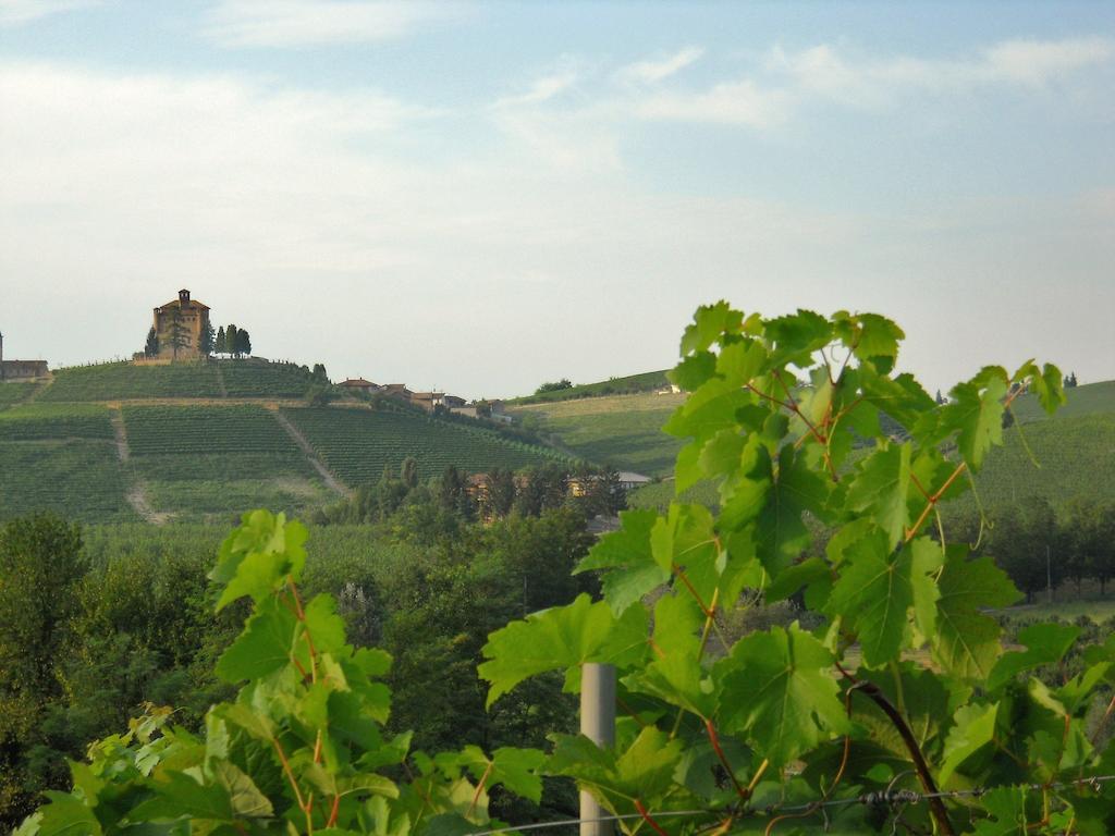 Tenuta Calabiana Diano d'Alba Room photo